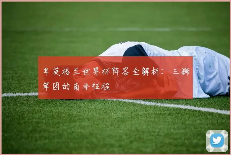 年英格兰世界杯阵容全解析:三狮军团的南非征程