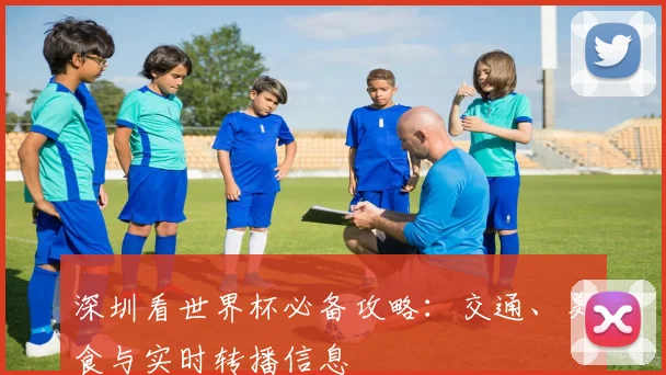 深圳看世界杯必备攻略:交通、美食与实时转播信息