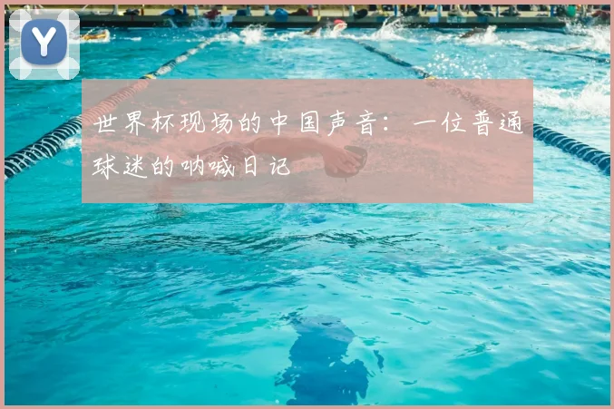 世界杯现场的中国声音：一位普通球迷的呐喊日记