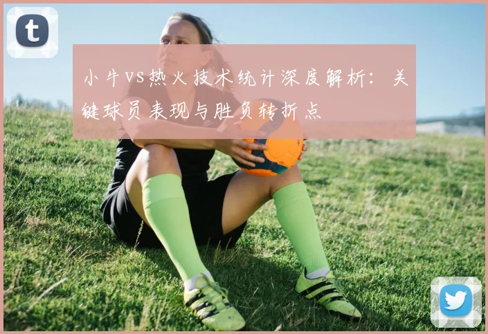 小牛vs热火技术统计深度解析：关键球员表现与胜负转折点