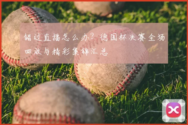 错过直播怎么办？德国杯决赛全场回放与精彩集锦汇总